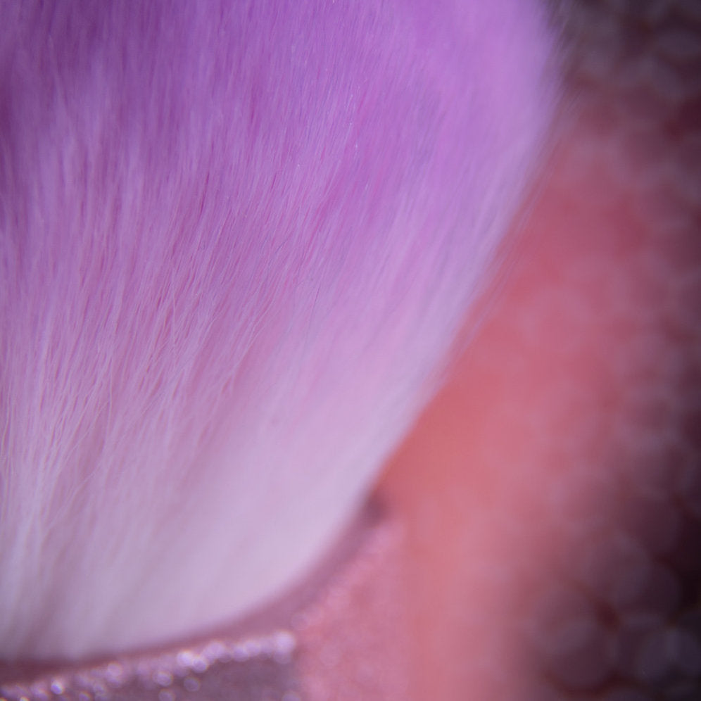 Dust and powder brush with glitter handle